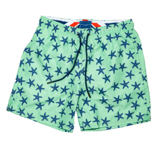 Mint Bold Starfish